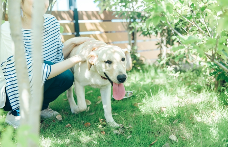 屋外のペットスペースドッグラン・水飲み場