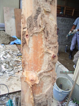 シロアリの被害にあった木材を取り除きます。